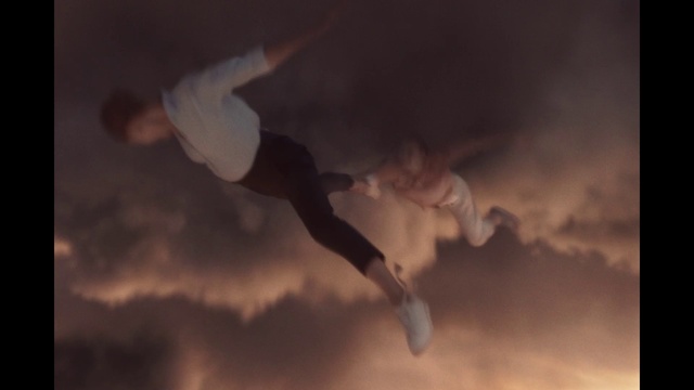 Video Reference: Cloud, Sky, Atmosphere, Human body, Flash photography, Gesture, Happy, Tree, Wing, Freestyle walking