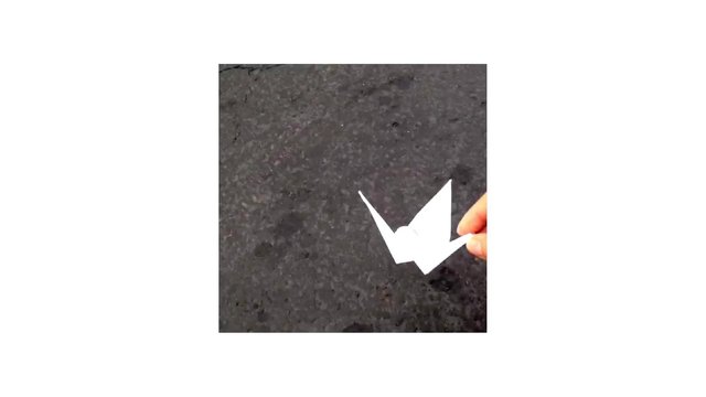Video Reference: origami, paper craft, hand, white paper, craft, close-up, textured surface, minimal, DIY, folded paper