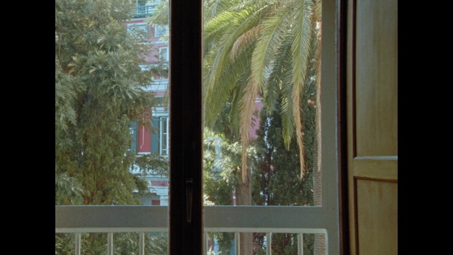 Video Reference: Window, Fixture, Shade, Wood, Branch, Tree, Building, House, Twig, Woody plant