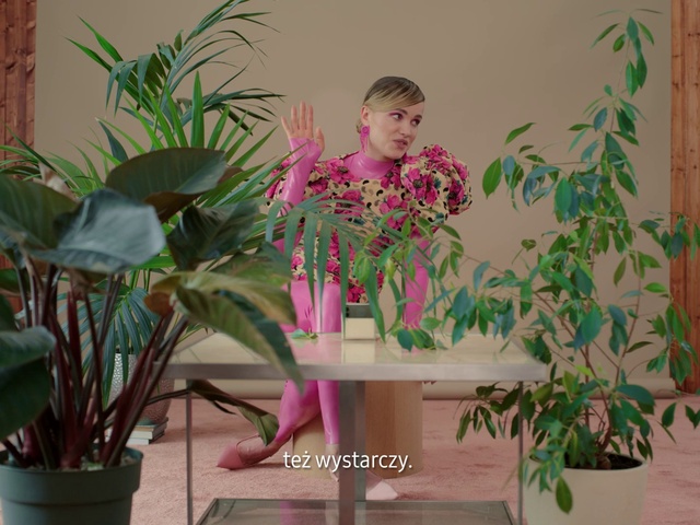 Video Reference: Plant, Flowerpot, Houseplant, Leaf, Flower, Botany, Interior design, Terrestrial plant, Pink, Magenta