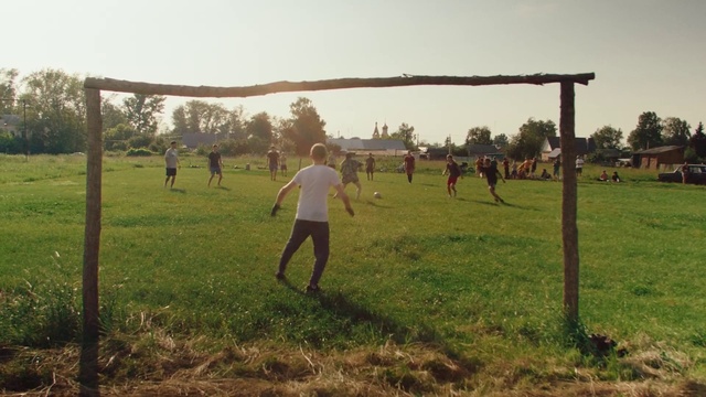 Video Reference: Sky, Vertebrate, Plant, Tree, People in nature, Mammal, Grass, Player, Happy, Leisure