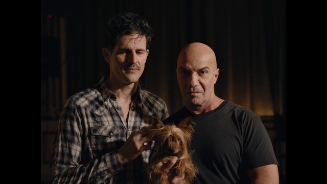 Video Reference: Flash photography, Dog, Beard, Carnivore, Facial hair, T-shirt, Curtain, Event, Companion dog, Liver