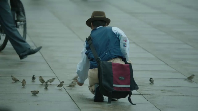 Video Reference: Shoe, Hat, Standing, Road surface, Sun hat, Sidewalk, Bird, Fedora, Flooring, Bag