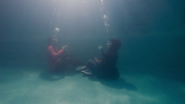 Video Reference: Water, Underwater diving, Vertebrate, Underwater, Divemaster, Fluid, Organism, Mammal, Diving equipment, Scuba diving