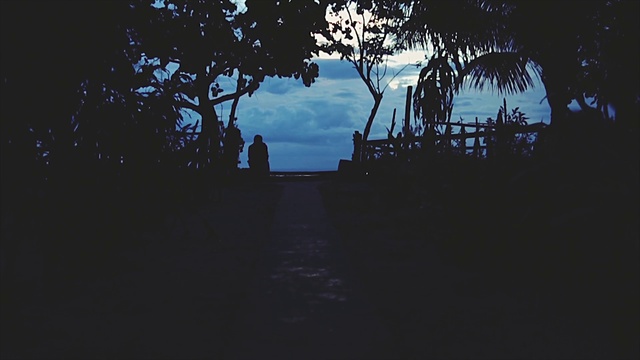 Video Reference: Cloud, Sky, Dusk, Arecales, Tree, Wood, Tints and shades, Natural landscape, Landscape, Horizon