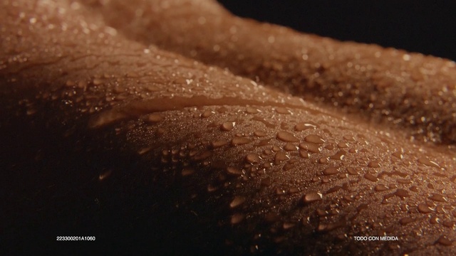 Video Reference: Road surface, Wheel, Wood, Tints and shades, Tire, Macro photography, Moisture, Soil, Petal, Grass