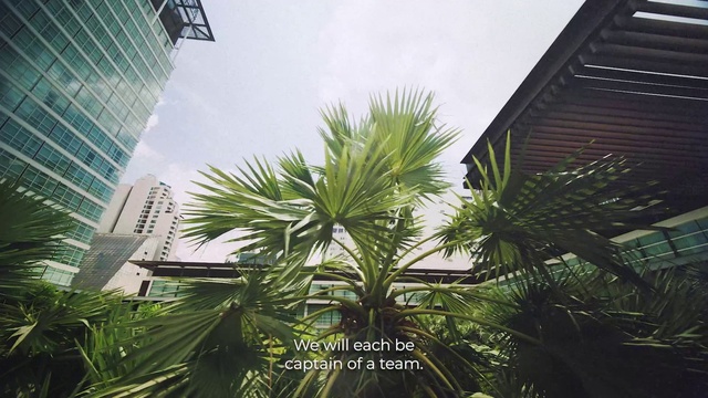 Video Reference: Building, Sky, Daytime, Window, Arecales, Terrestrial plant, Skyscraper, Tree, Urban design, Grass