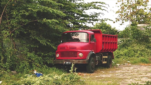 Video Reference: Plant, Tire, Wheel, Vehicle, Truck, Motor vehicle, Automotive lighting, Automotive tire, Car, Tree