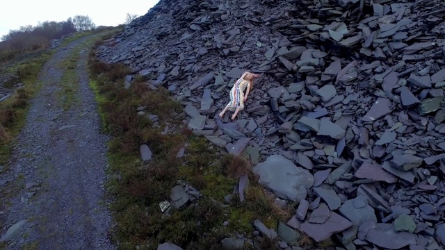 Video Reference: Dog, Bedrock, Geological phenomenon, Slope, Groundcover, Grass, Plant, Soil, Rock, Landscape