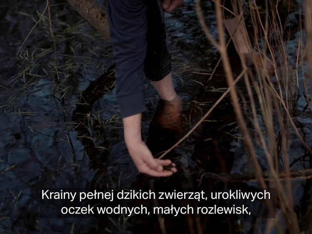 Video Reference: People in nature, Leg, Wood, Branch, Organism, Gesture, Grass, Thigh, Terrestrial plant, Woody plant