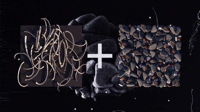 Video Reference: Plant, Font, Automotive tire, Art, Tree, Pattern, Graphics, Symbol, Fashion accessory, Logo