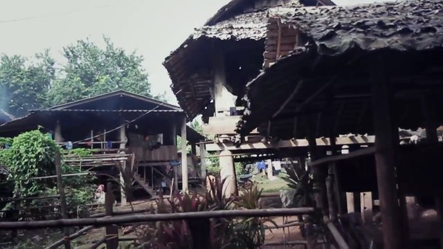 Video Reference: rural, village, wooden houses, stilt house, thatched roof, traditional architecture, outdoor, tropical, vegetation, pathway, residential, countryside