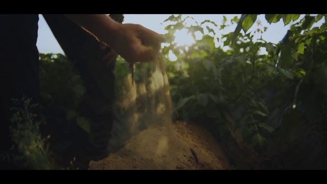 Video Reference: Plant, Gesture, Wood, Grass, People in nature, Terrestrial plant, Tints and shades, Landscape, Forest, Natural landscape