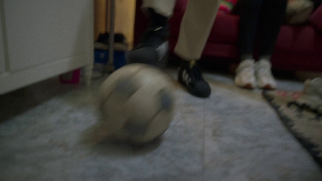 Video Reference: Leg, Floor, Knee, Flooring, Thigh, Fawn, Chest, Musical instrument, Comfort, Hardwood