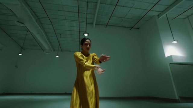 Video Reference: Entertainment, Performing arts, Fashion design, Event, Fun, Choreography, Ceiling, Room, Tourist attraction, Visual arts