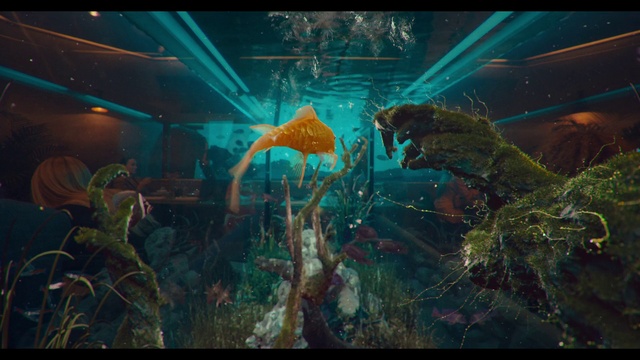 Video Reference: Water, Underwater, Organism, Marine biology, Art, Event, Entertainment, Cg artwork, Electric blue, Plant