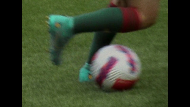 Video Reference: Sports equipment, Toy, Ball, Football, Soccer ball, Grass, Player, Ball game, Recreation, Sports