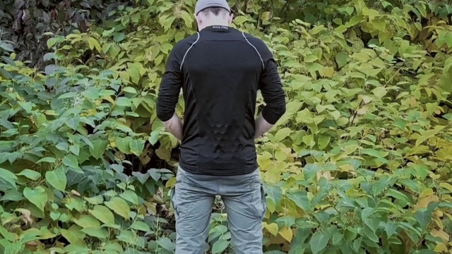 Video Reference: Clothing, Outerwear, Plant, Leaf, Sleeve, Dress shirt, Grass, Collar, Cap, Woody plant