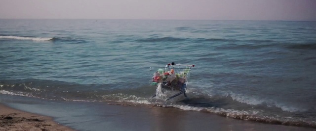 Video Reference: Water, Sky, Plant, Beach, Coastal and oceanic landforms, Horizon, Wind, Vehicle, Wind wave, Landscape