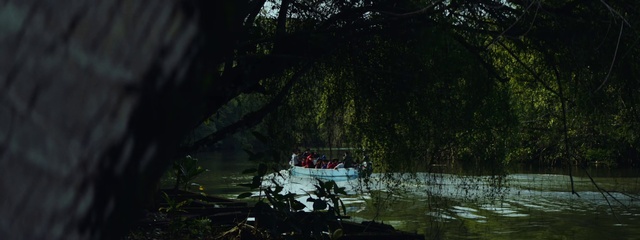 Video Reference: Plant, Boat, Water, Watercraft, Vehicle, Natural landscape, Boats and boating--Equipment and supplies, Terrestrial plant, Watercourse, Bank