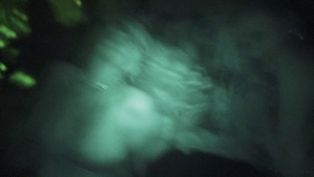 Video Reference: Water, Cloud, Tints and shades, Tree, Sky, Electric blue, Cumulus, Darkness, Meteorological phenomenon, Landscape