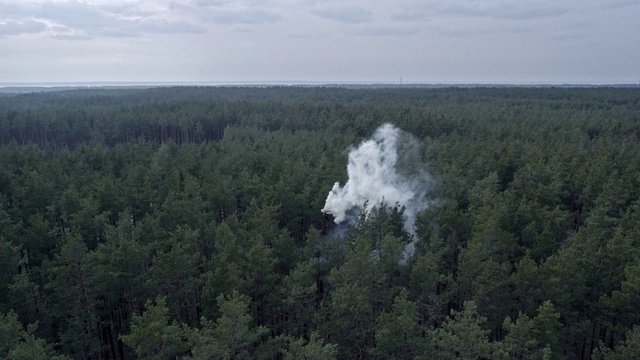 Video Reference: Cloud, Plant, Plant community, Sky, Water, Natural landscape, Tree, Body of water, Evergreen, Grass