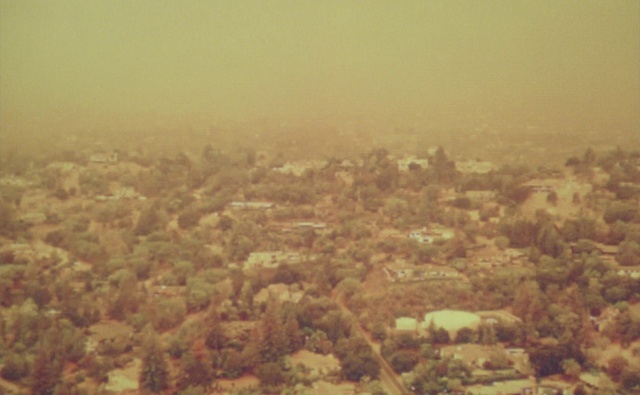 Video Reference: Ecoregion, Sky, Atmospheric phenomenon, Plant, Natural landscape, Landscape, Plain, Tree, Horizon, City