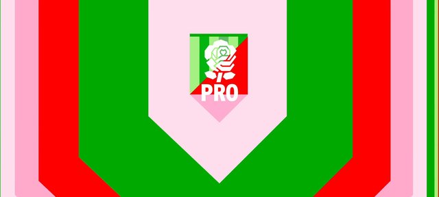Video Reference: graphic, geometric, abstract, logo, flower, text, pro, pink, green, red, symmetry, icon, banner, emblem, design, pattern