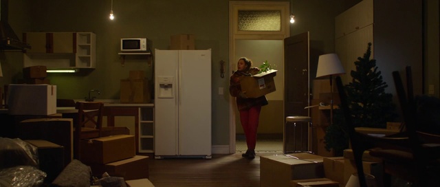 Video Reference: Picture frame, Plant, Standing, Wood, Door, Flooring, Event, Audio equipment, Hardwood, Room