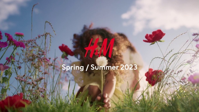 Video Reference: Flower, Plant, Sky, Cloud, Ecoregion, People in nature, Petal, Natural landscape, Happy, Grass