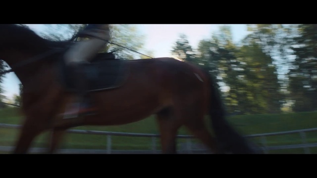 Video Reference: Horse, Plant, Tree, Liver, Working animal, Horse supplies, Grass, Sorrel, Fawn, Bridle
