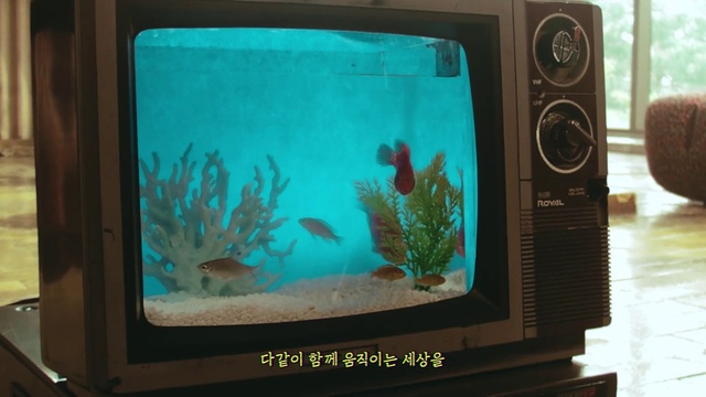 Video Reference: Water, Plant, Green, Blue, Organism, Underwater, Pet supply, Aquatic plant, Fish supply, Aqua