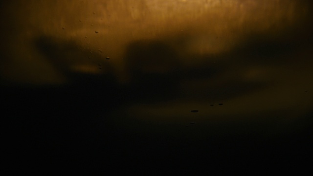 Video Reference: Atmosphere, Cloud, Dusk, Cumulus, Tints and shades, Horizon, Bird, Calm, Landscape, Sky