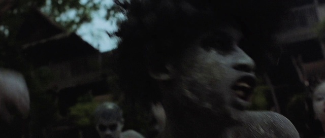 Video Reference: Jaw, Flash photography, Plant, Tree, Snout, Midnight, Grass, Darkness, Beard, Monochrome photography