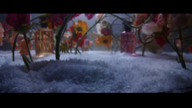 Video Reference: Plant, Branch, Organism, Tree, Art, Grass, Tints and shades, Twig, Font, Event