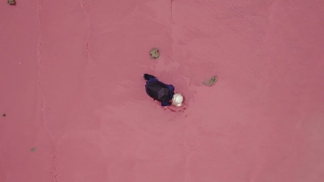 Video Reference: Pink, Tints and shades, Magenta, Carmine, Concrete, Asphalt, Wood, Art, Recreation, Road surface