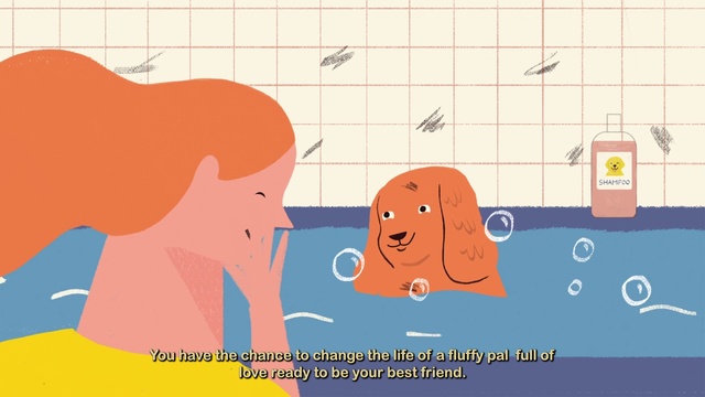Video Reference: Vertebrate, Orange, Mammal, Organism, Gesture, Font, Line, Art, Happy, Sharing