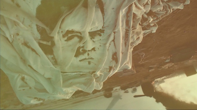 Video Reference: Wood, Art, Sculpture, Tints and shades, Statue, Artifact, Classical sculpture, Visual arts, Plaster, Relief