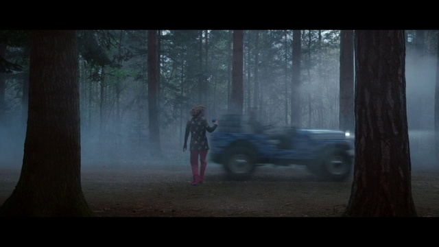Video Reference: Atmosphere, Plant, Tree, Natural environment, Vehicle, Fog, Tire, Wood, Wheel, Flash photography