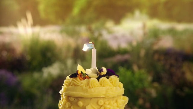 Video Reference: Plant, Petal, Flower, Pollinator, Candle, Wedding ceremony supply, Grass, Fruit, Cake decorating, Event