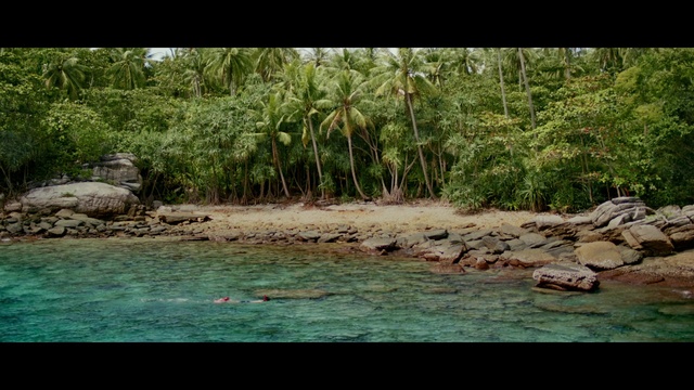 Video Reference: Water, Plant, Plant community, Tree, Natural landscape, Fluvial landforms of streams, Coastal and oceanic landforms, Terrestrial plant, Lake, Watercourse