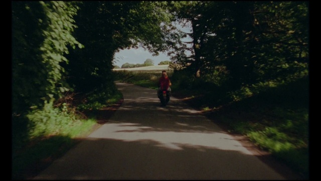 Video Reference: Plant, Road surface, Natural environment, Asphalt, Branch, Shade, Tree, Natural landscape, People in nature, Thoroughfare