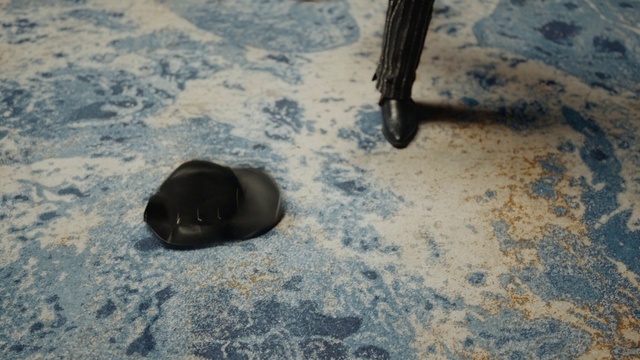 Video Reference: Organism, Snout, Wood, Recreation, Foot, Human leg, Automotive tire, Freezing, Wildlife, Marine mammal