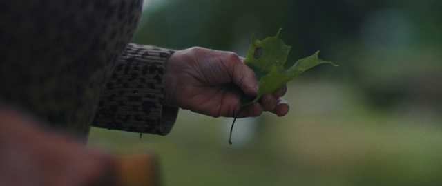 Video Reference: Hand, Plant, Gesture, Terrestrial plant, Finger, Thumb, Grass, Wood, Wrist, Nail