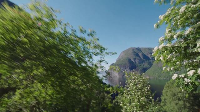 Video Reference: Sky, Natural landscape, Cloud, Mountain, Tree, Plant, Landscape, Shrub, Cumulus, Forest