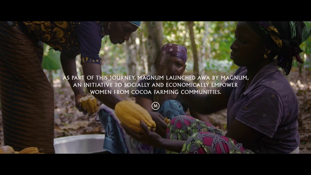 Video Reference: Temple, Sharing, Organism, Gesture, Interaction, Plant, Font, Adaptation, Happy, Event