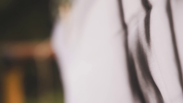 Video Reference: Eyelash, Wood, Plant, Tints and shades, Font, Rim, Pattern, Metal, Macro photography, Twig