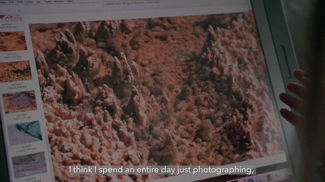 Video Reference: Brown, Recipe, Ingredient, Cuisine, Food, Dish, Dessert, Baked goods, Soil, Font