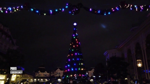 Video Reference: Christmas tree, Light, Purple, Nature, Christmas ornament, Black, Electricity, Lighting, Christmas decoration, Ornament