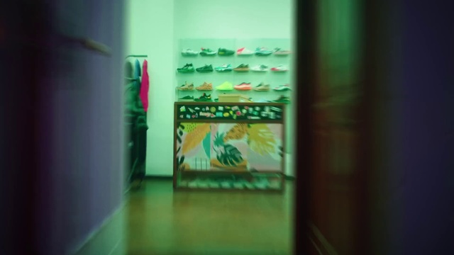 Video Reference: Interior design, Shelf, Floor, Flooring, Tints and shades, Shelving, Houseplant, Art, Glass, Ceiling